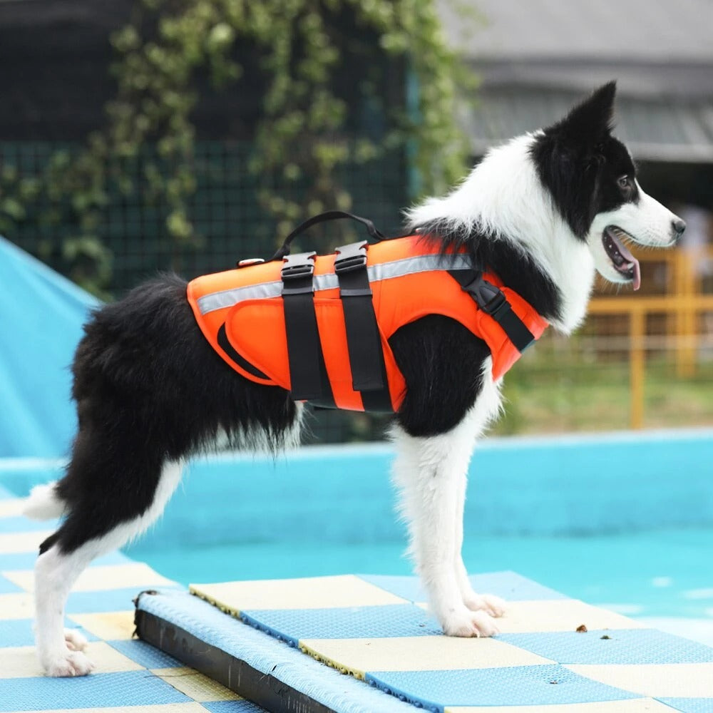 Reflective Dog Life Vests