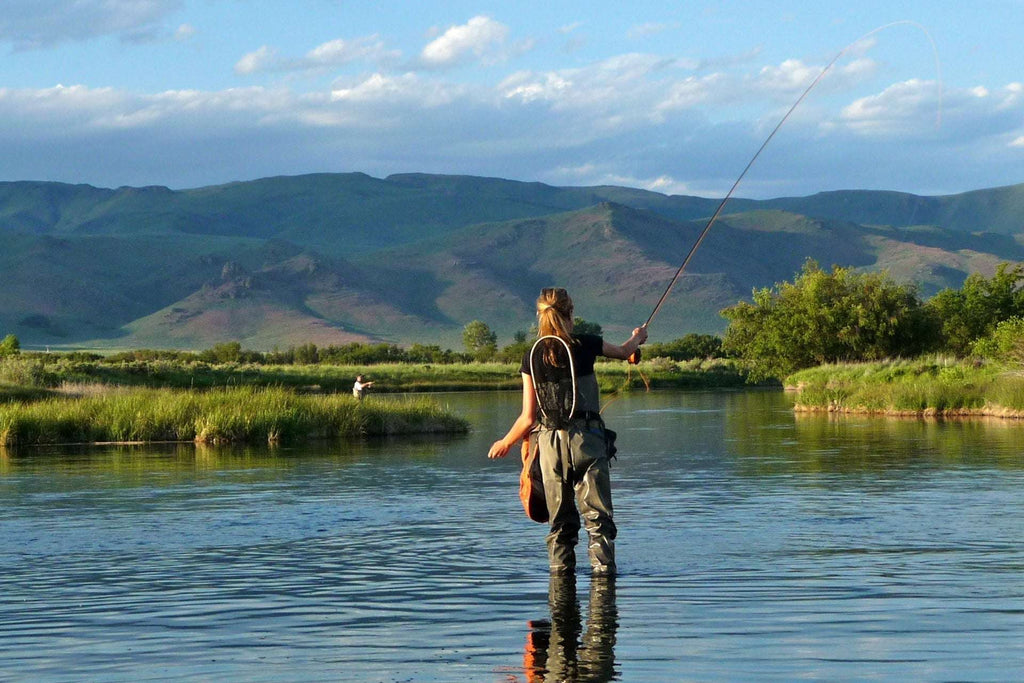 Classic Dry Fly - 3 pack