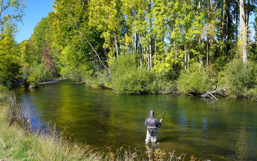 Orange Dry Flies