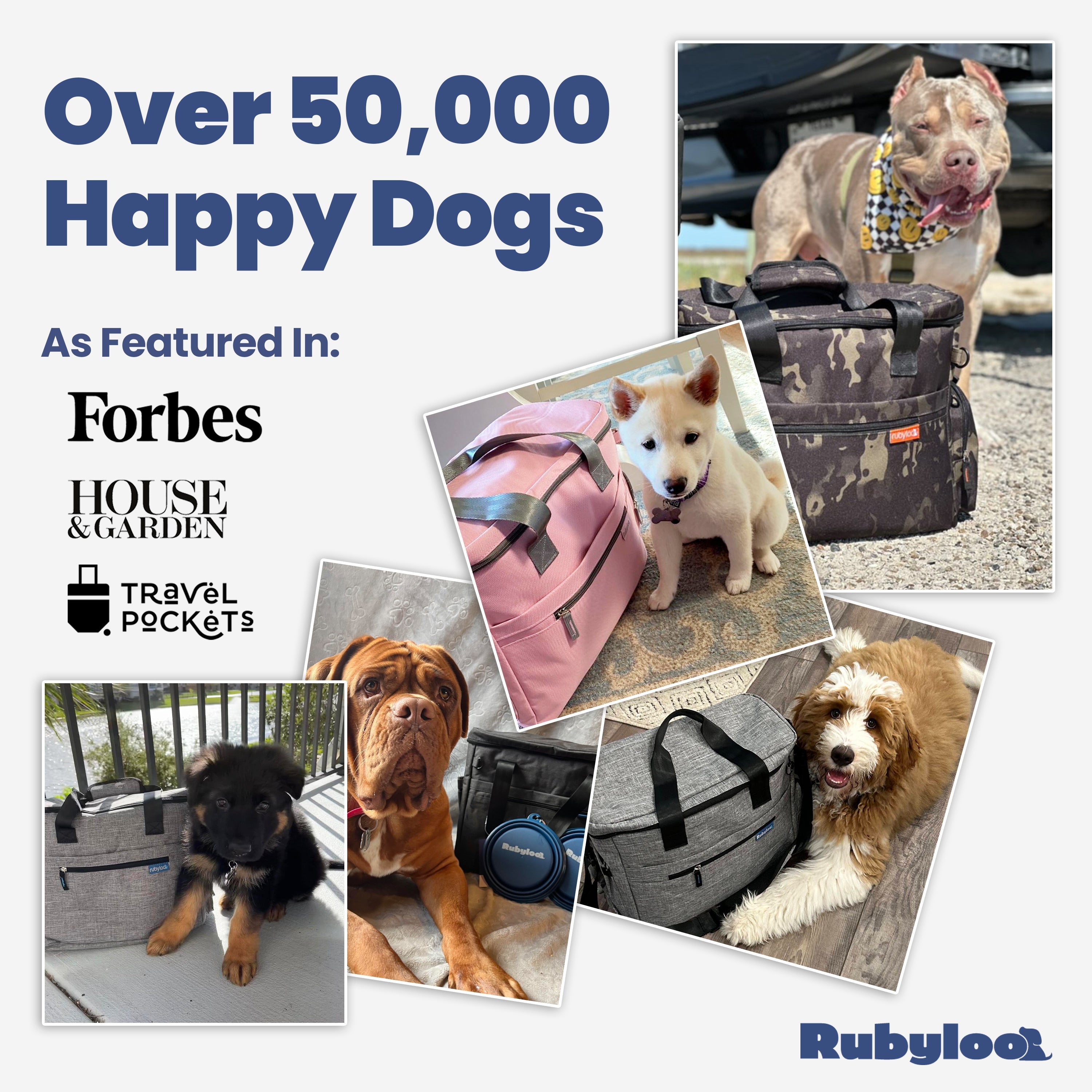 Dog Travel Bag