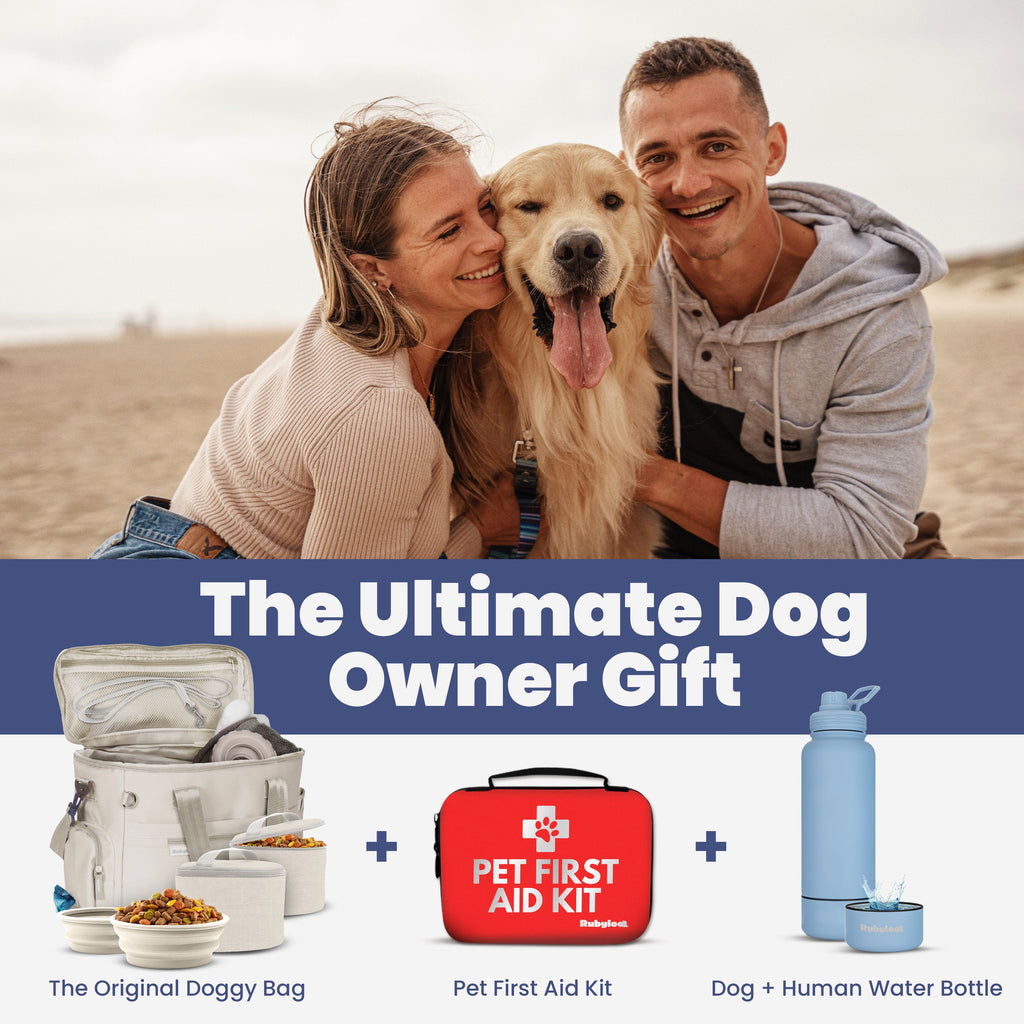 Dog Travel Bag