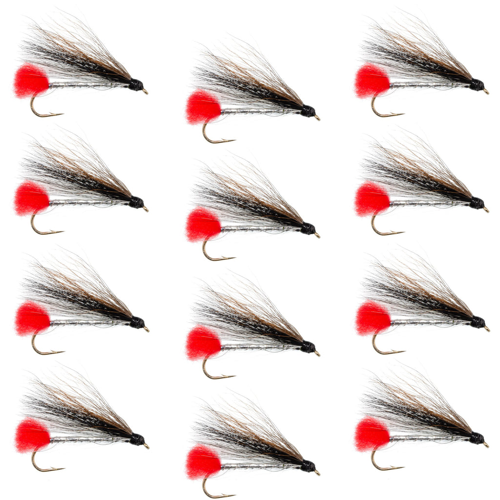 Black Nose Dace Classic Streamer Flies - Set of 12