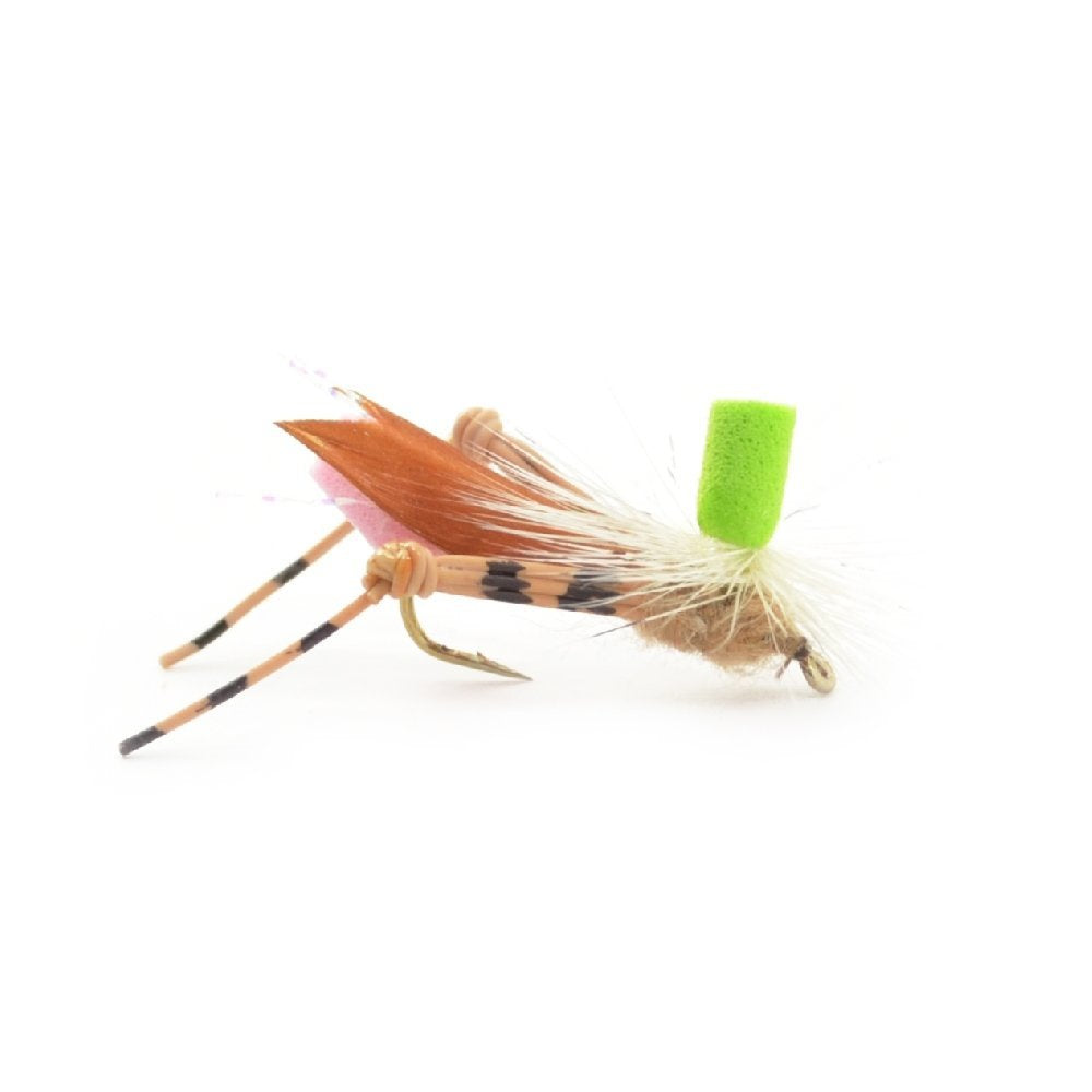Terrestrials Fly Fishing Flies Collection with Fly Box