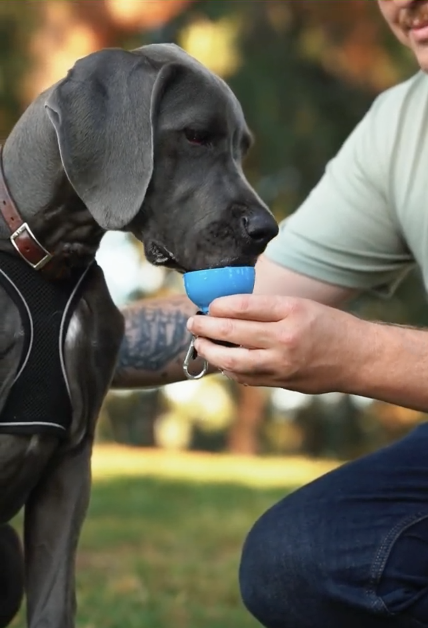 Dog Water Bottle