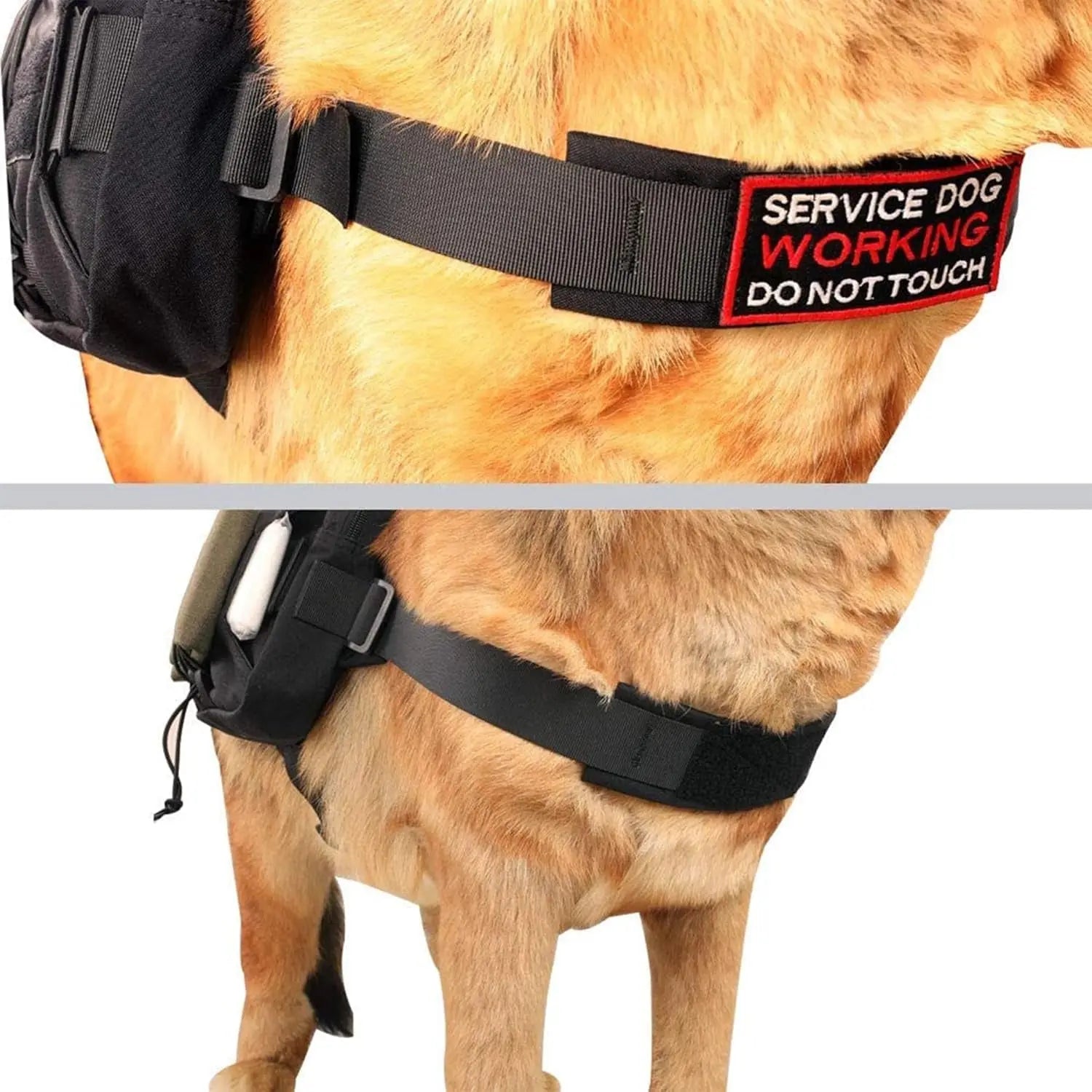 Dog Backpack