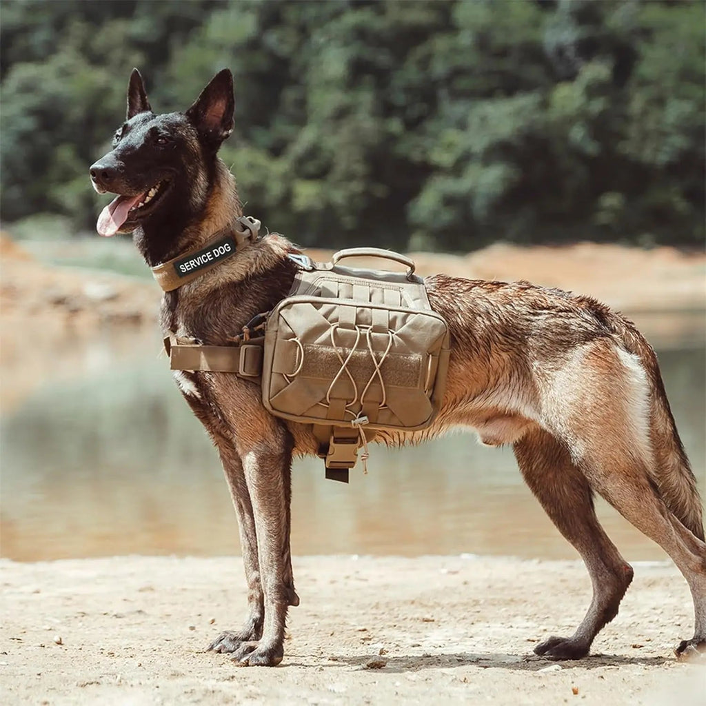 Dog Backpack
