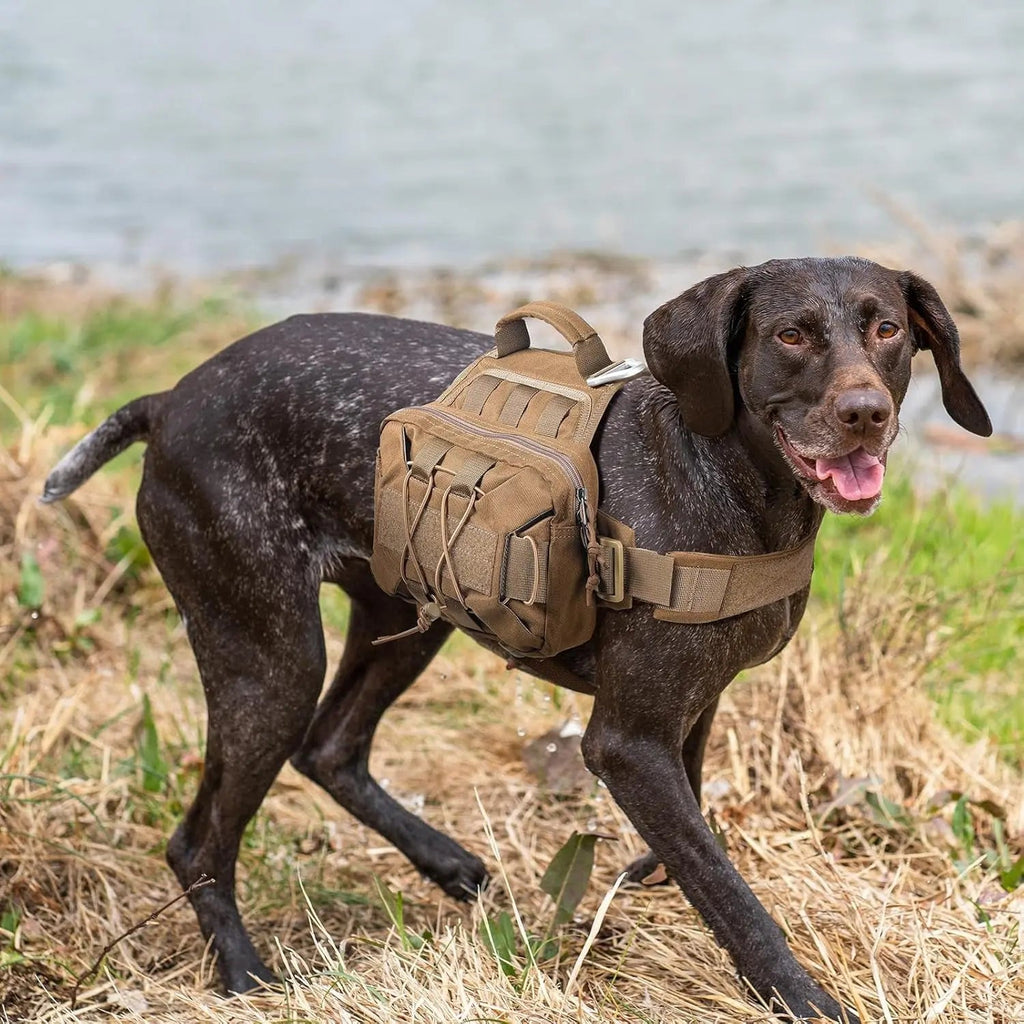 Dog Backpack