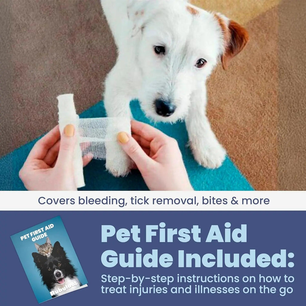 Dog & Cat Emergency Kit