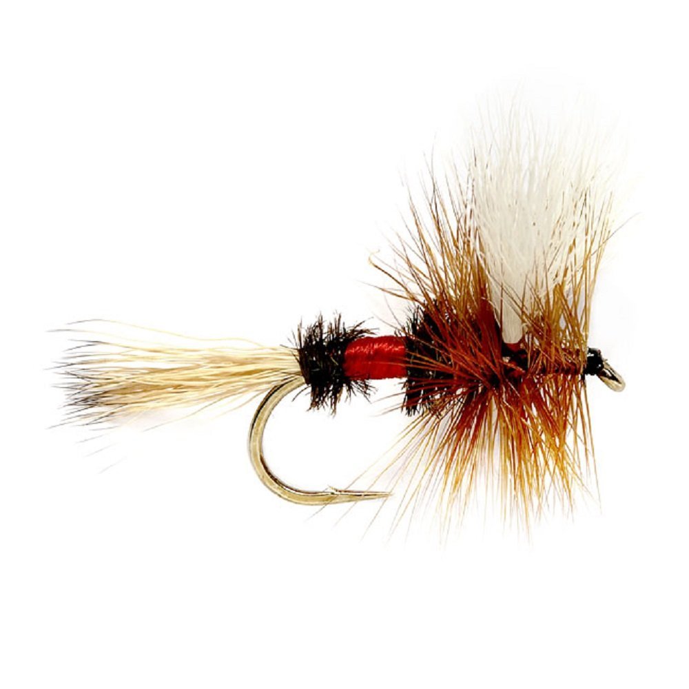 24 Flies for Trout Fly Fishing with Fly Box