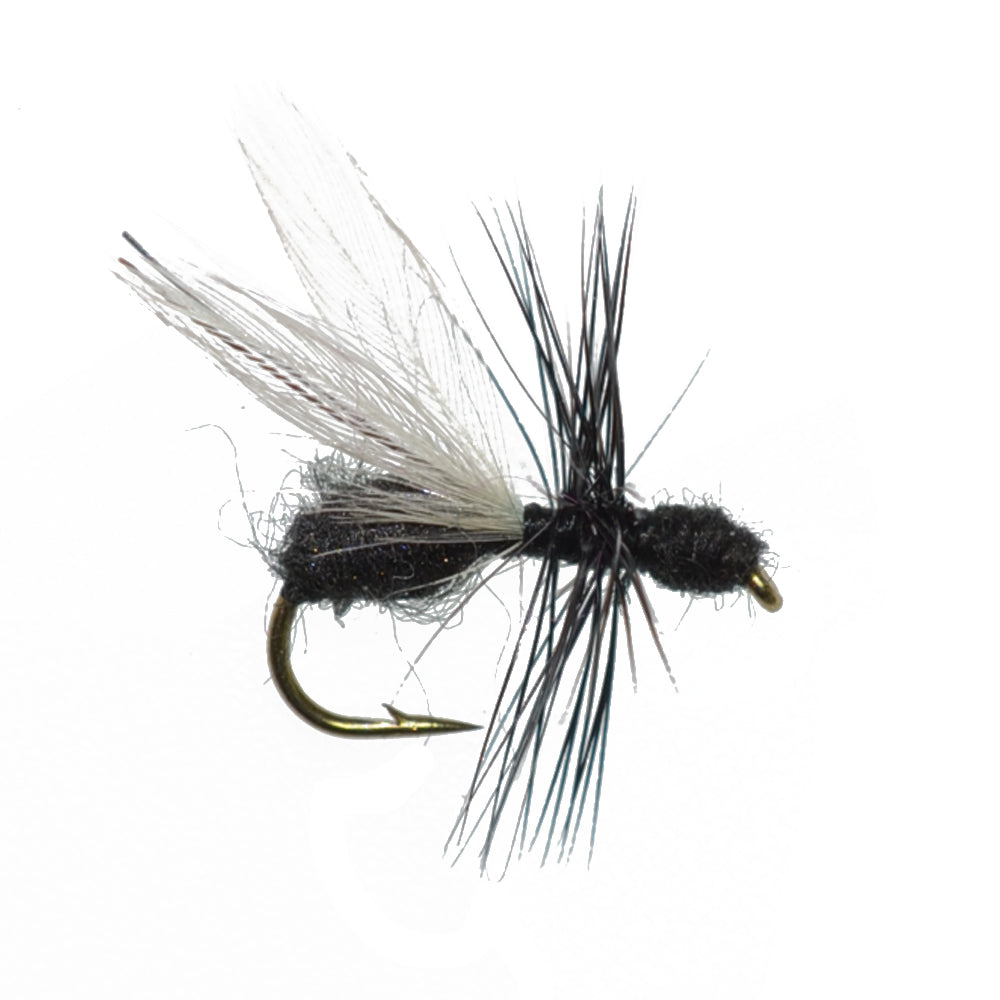Terrestrials Fly Fishing Flies Collection with Fly Box