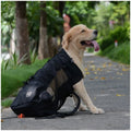 Pet Dog Carrier
