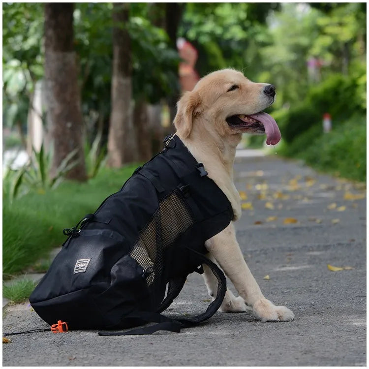 Pet Dog Carrier