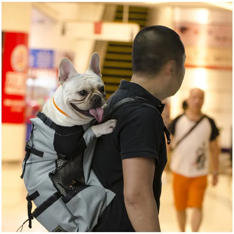 Pet Dog Carrier