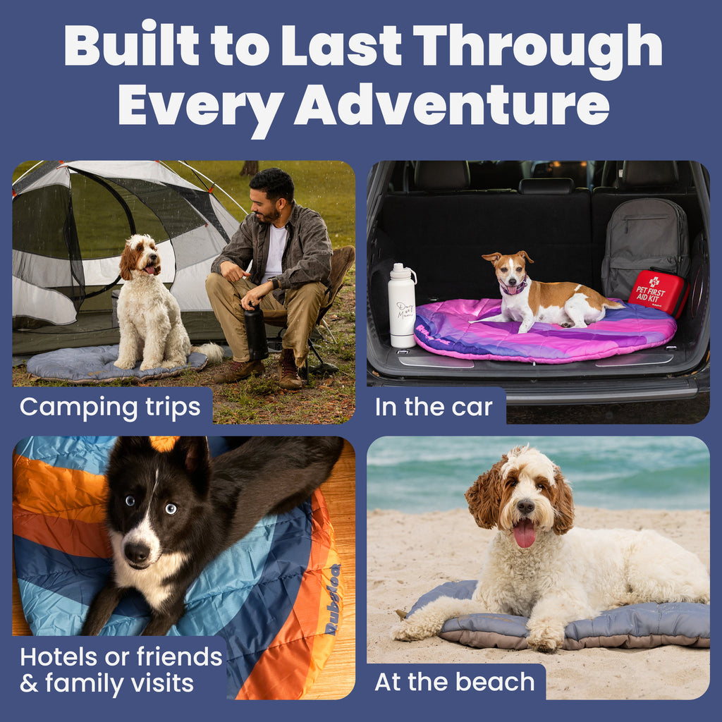 Four images show dogs using the Travel Dog Bed—Foldable & Packable for Travel, Road Trips, and Camping—in different places: camping with a man, in a car trunk, indoors on a bed, and relaxing at the beach, showcasing its versatile design.