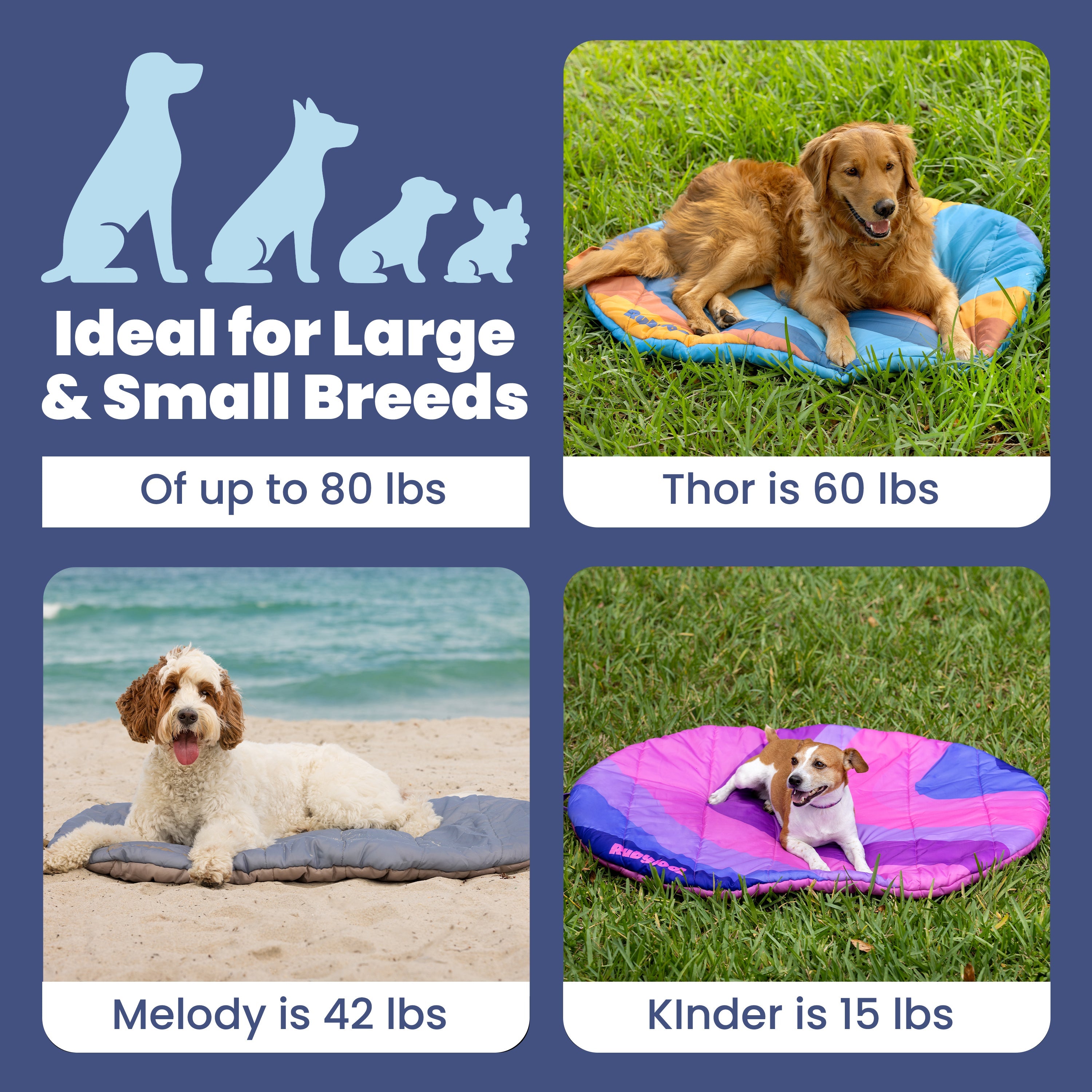 A graphic shows dog silhouettes and text: Ideal for Large & Small Breeds, up to 80 lbs. Photos of Thor (60 lbs), Melody (42 lbs), and Kinder (15 lbs) resting on Travel Dog Bed—Foldable & Packable for travel, road trips, and camping.