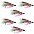 Rainbow Trout Classic Streamer Flies - Set of 6