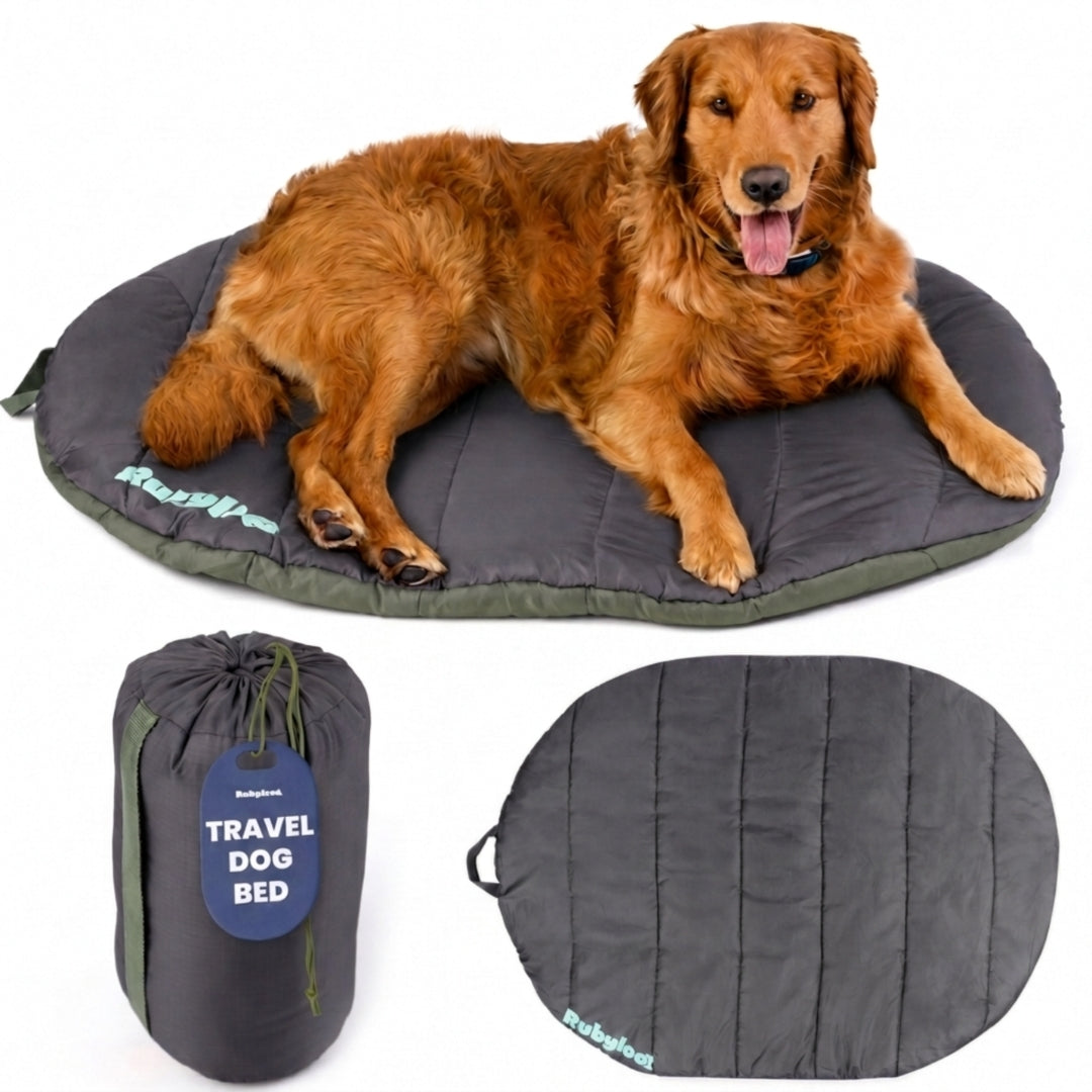 Foldable Dog Bed