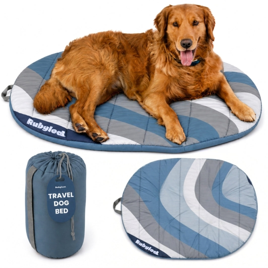 Foldable Dog Bed