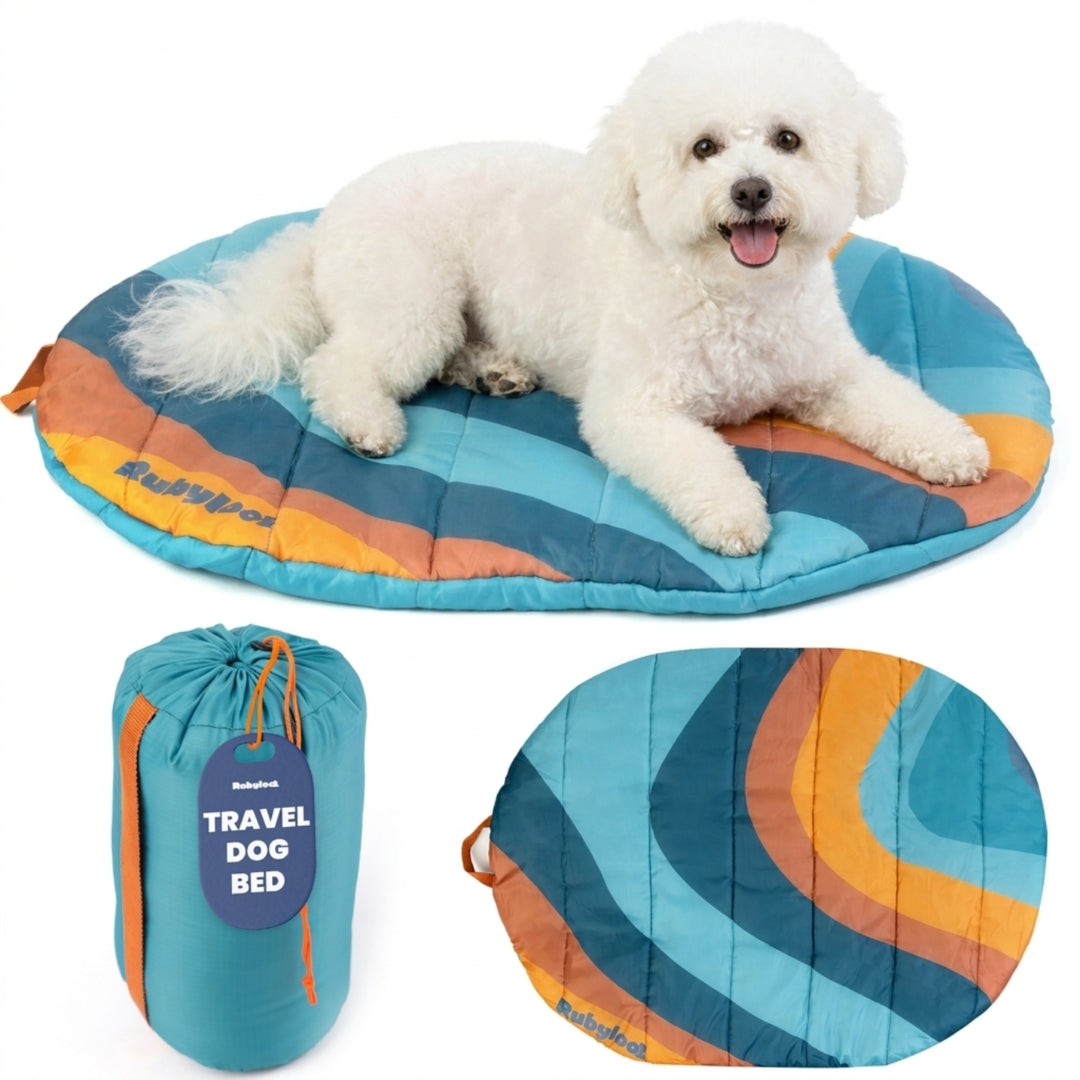 Foldable Dog Bed