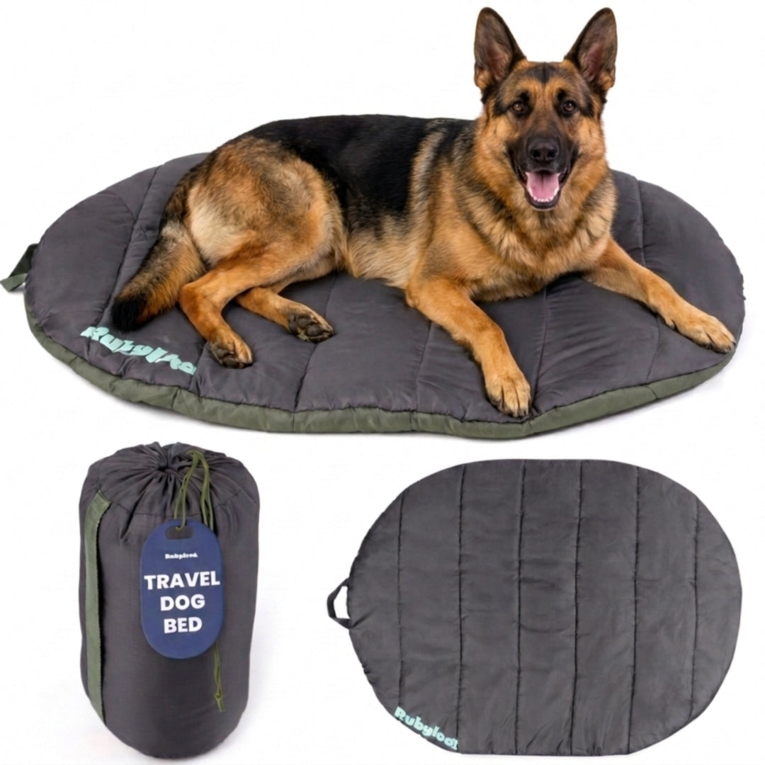 Foldable Dog Bed