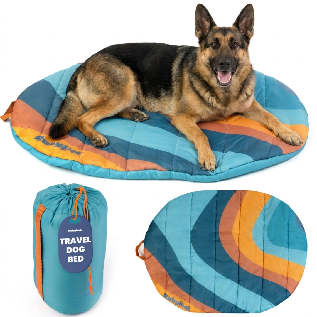 Foldable Dog Bed