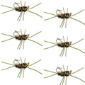 Tungsten Bead Jigged  Coffee/Black Euro Nymph  - Set of 6