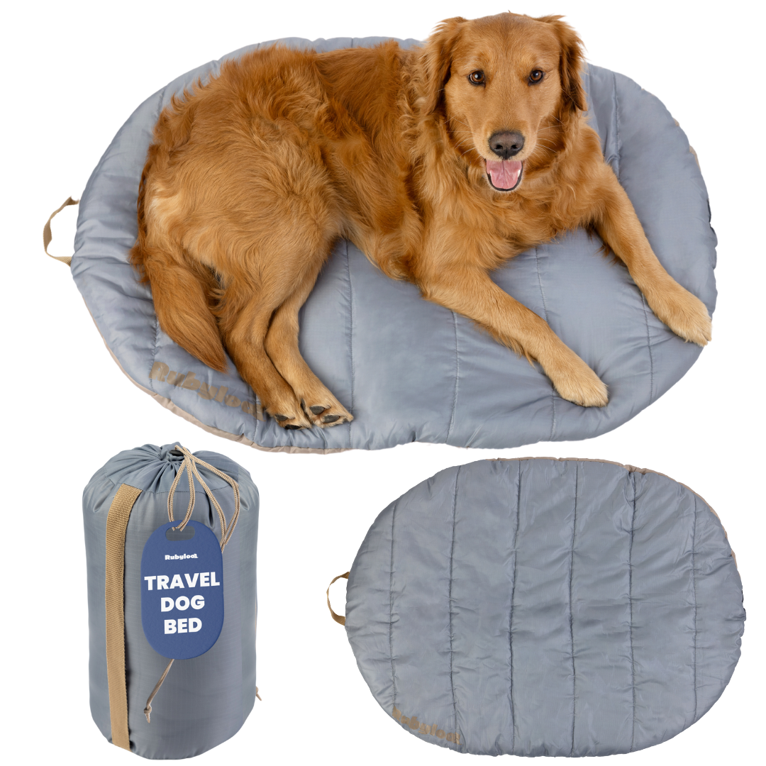 A golden retriever rests on the Travel Dog Bed - Foldable & Packable for Travel, Road Trip, Camping. The portable gray oval bed is also shown rolled up in a compact bag labeled "Travel Dog Bed" and laid out flat without the dog.