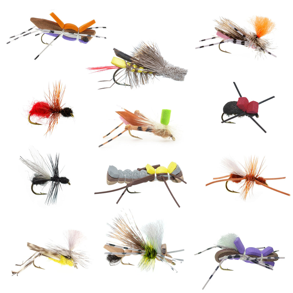 Terrestrials Fly Fishing Flies Collection with Fly Box