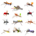 Terrestrials Fly Fishing Flies Collection with Fly Box
