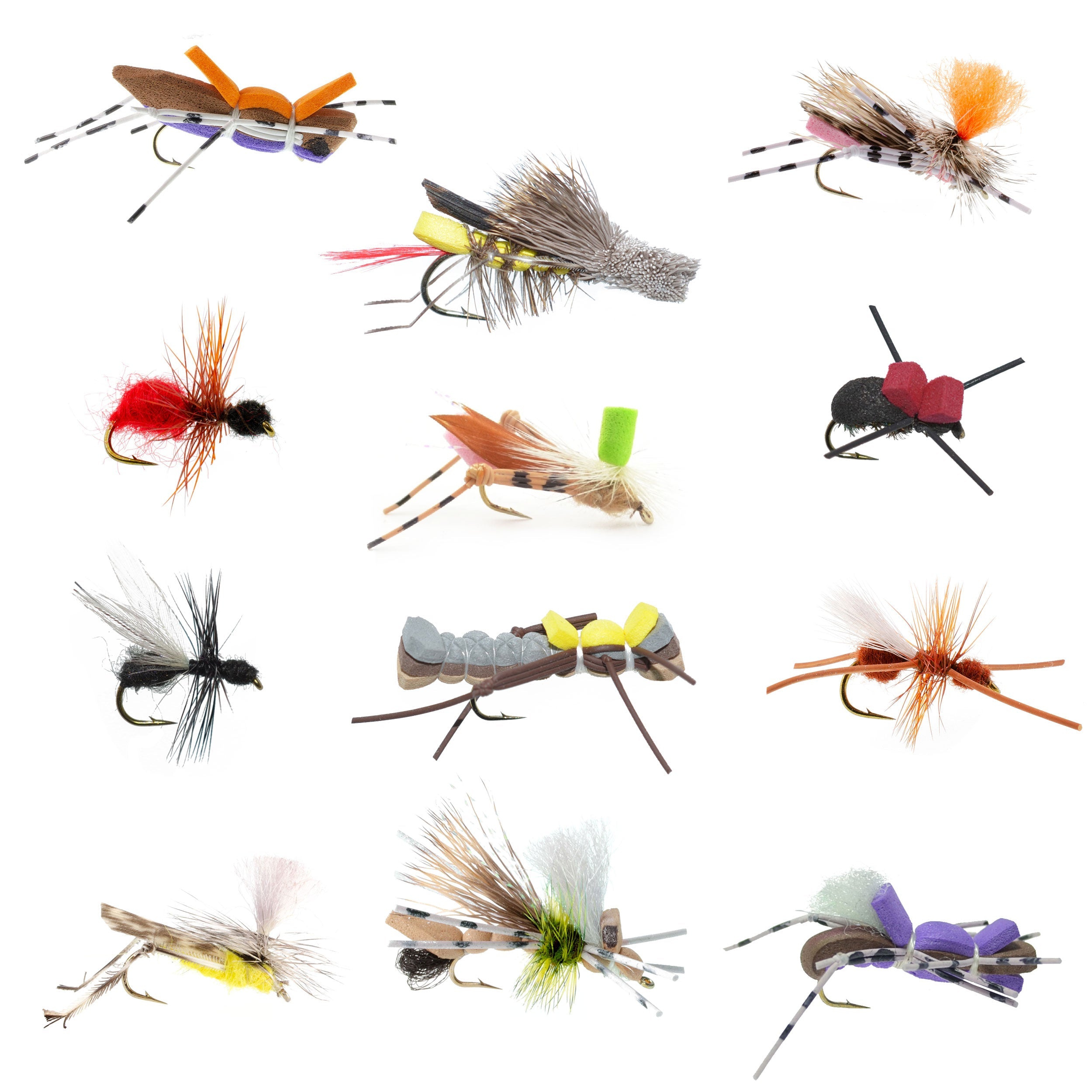 Terrestrials Fly Fishing Flies Collection with Fly Box