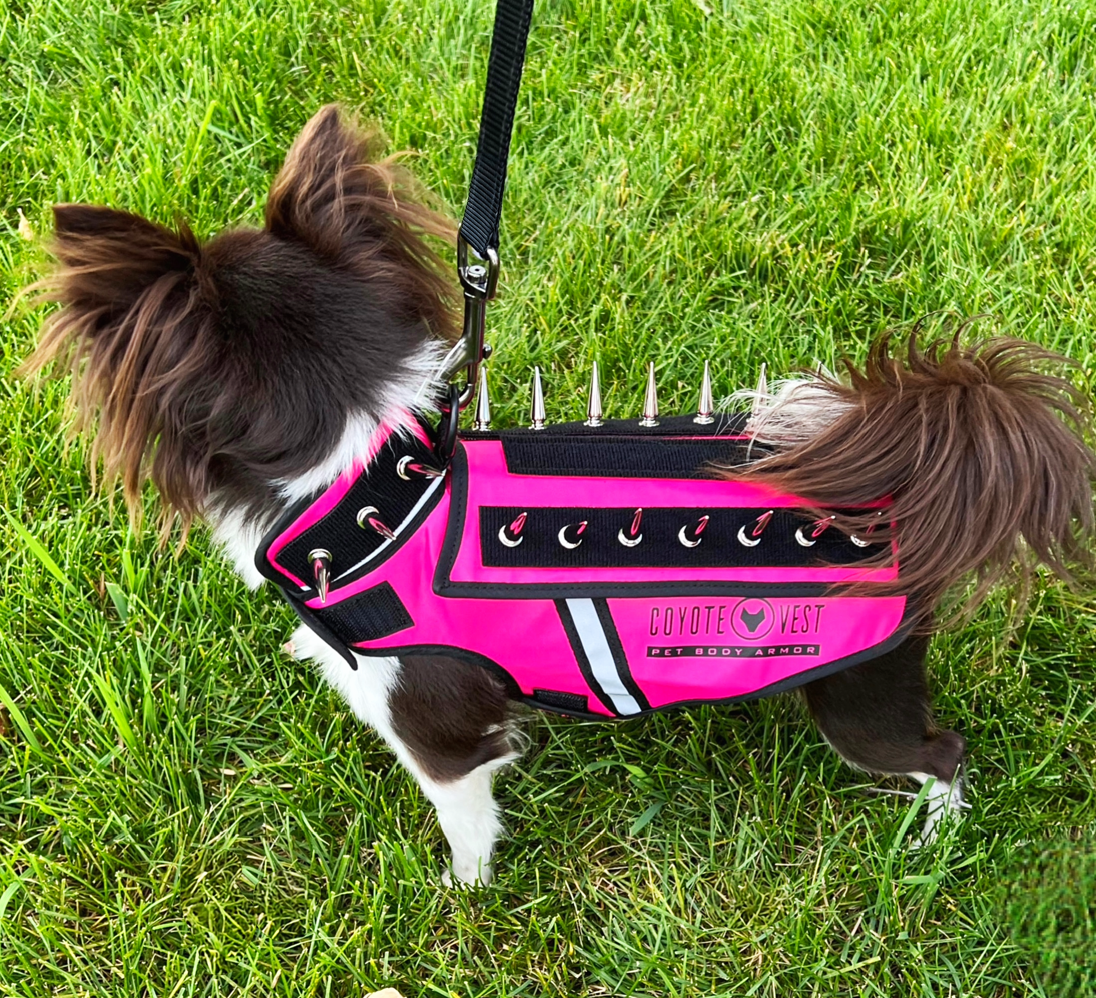Defense Harness