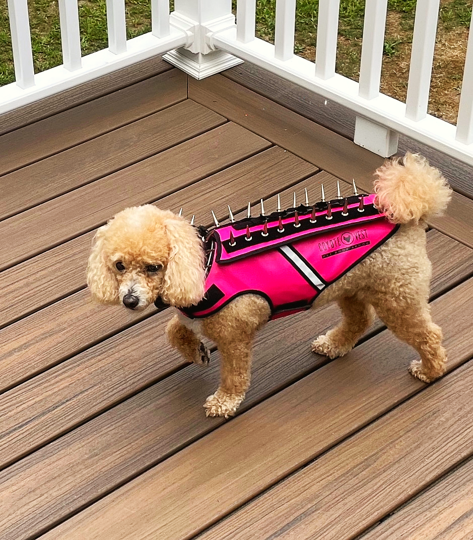 Defense Harness