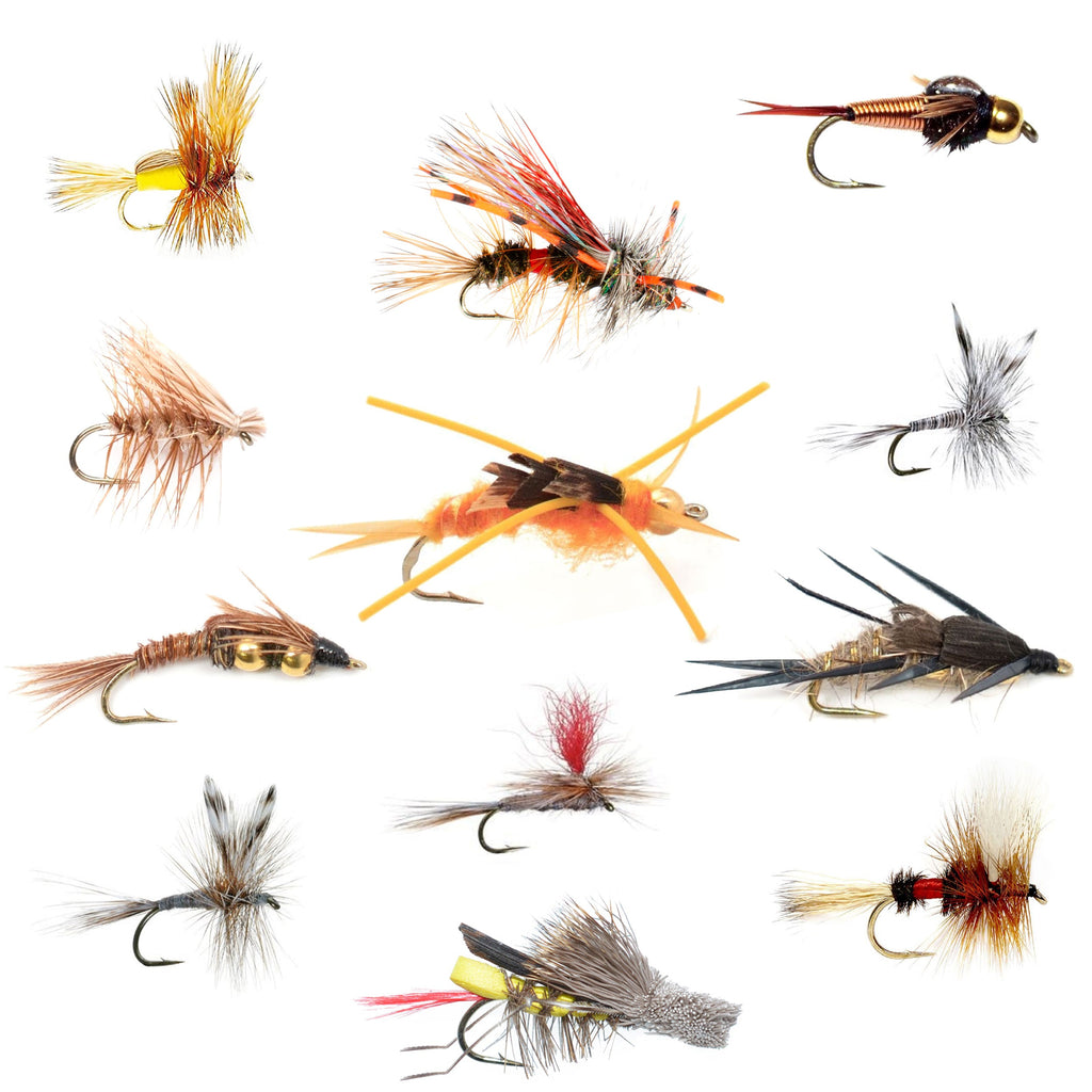1 Dozen Trout Flies with Fly Box