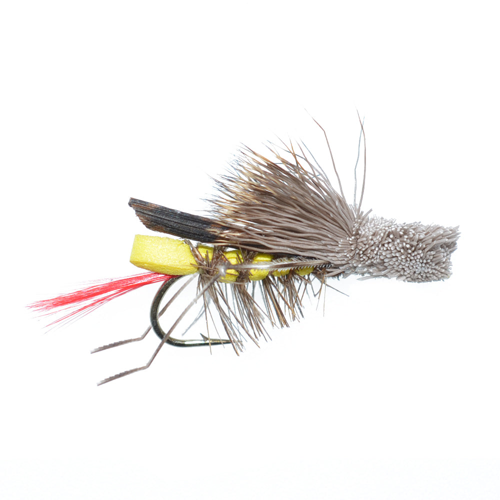 12 Flies for Trout Fly Fishing with Fly Box