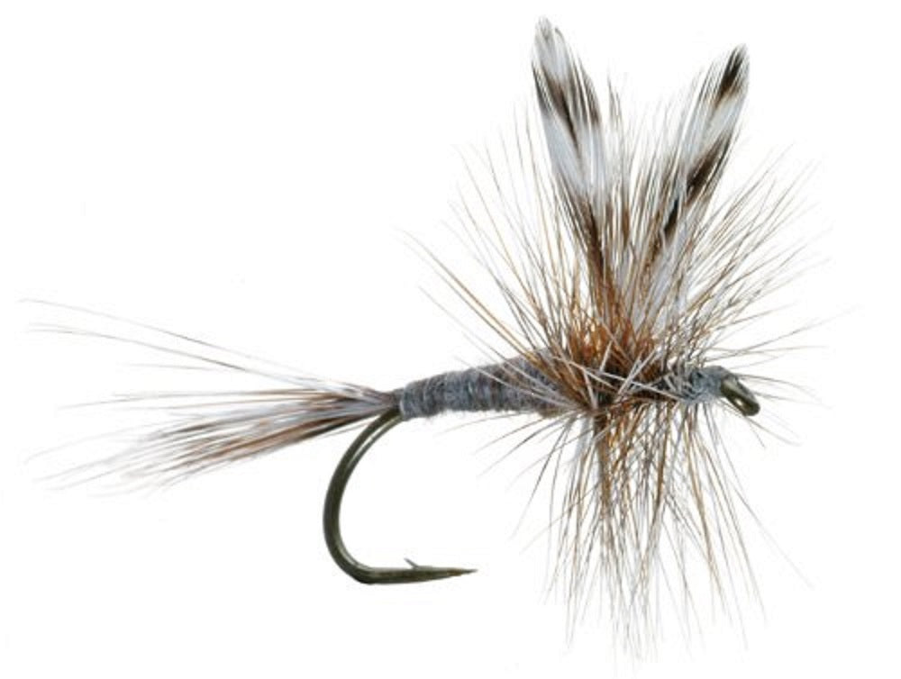 1 Dozen Trout Flies with Fly Box