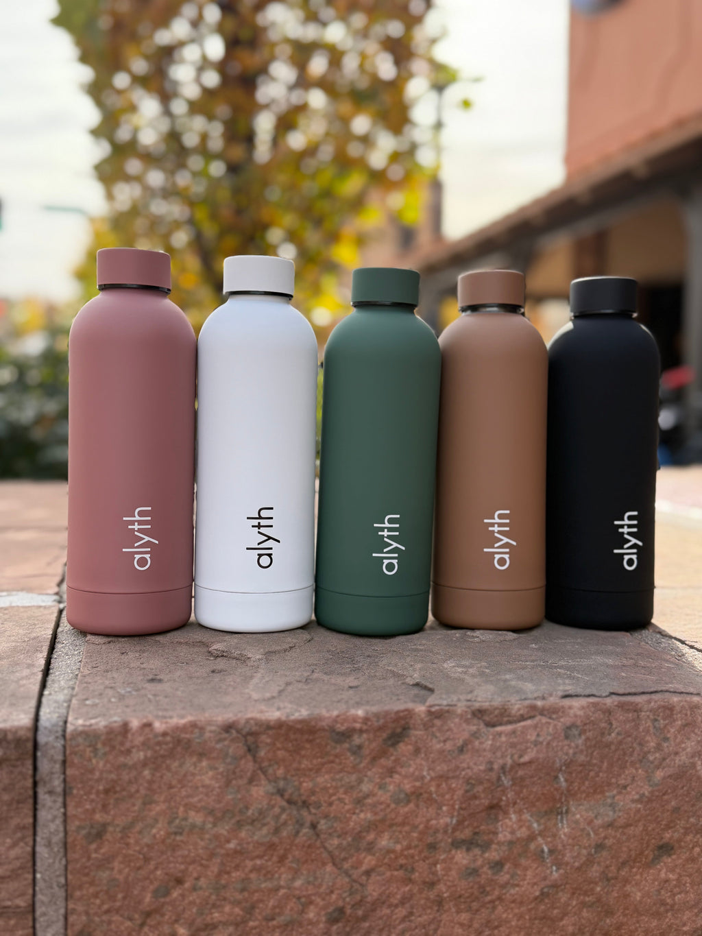 Water Bottle
