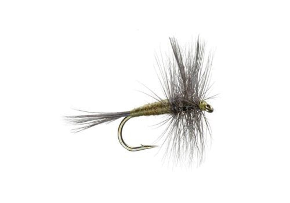 3 Pack Blue Wing Olive BWO Classic Dry Fly