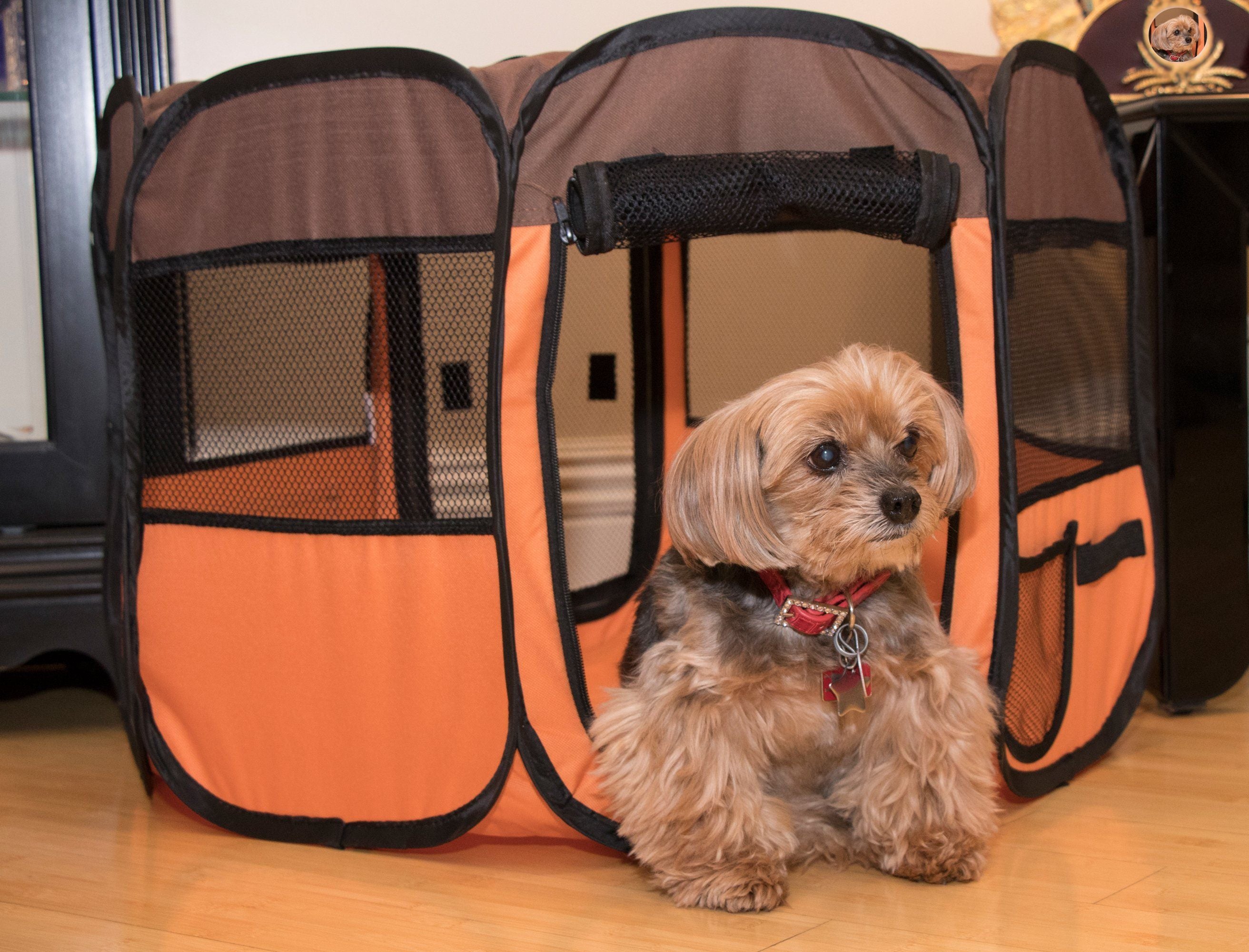Folding Wire-Framed Collapsible Dog Playpen