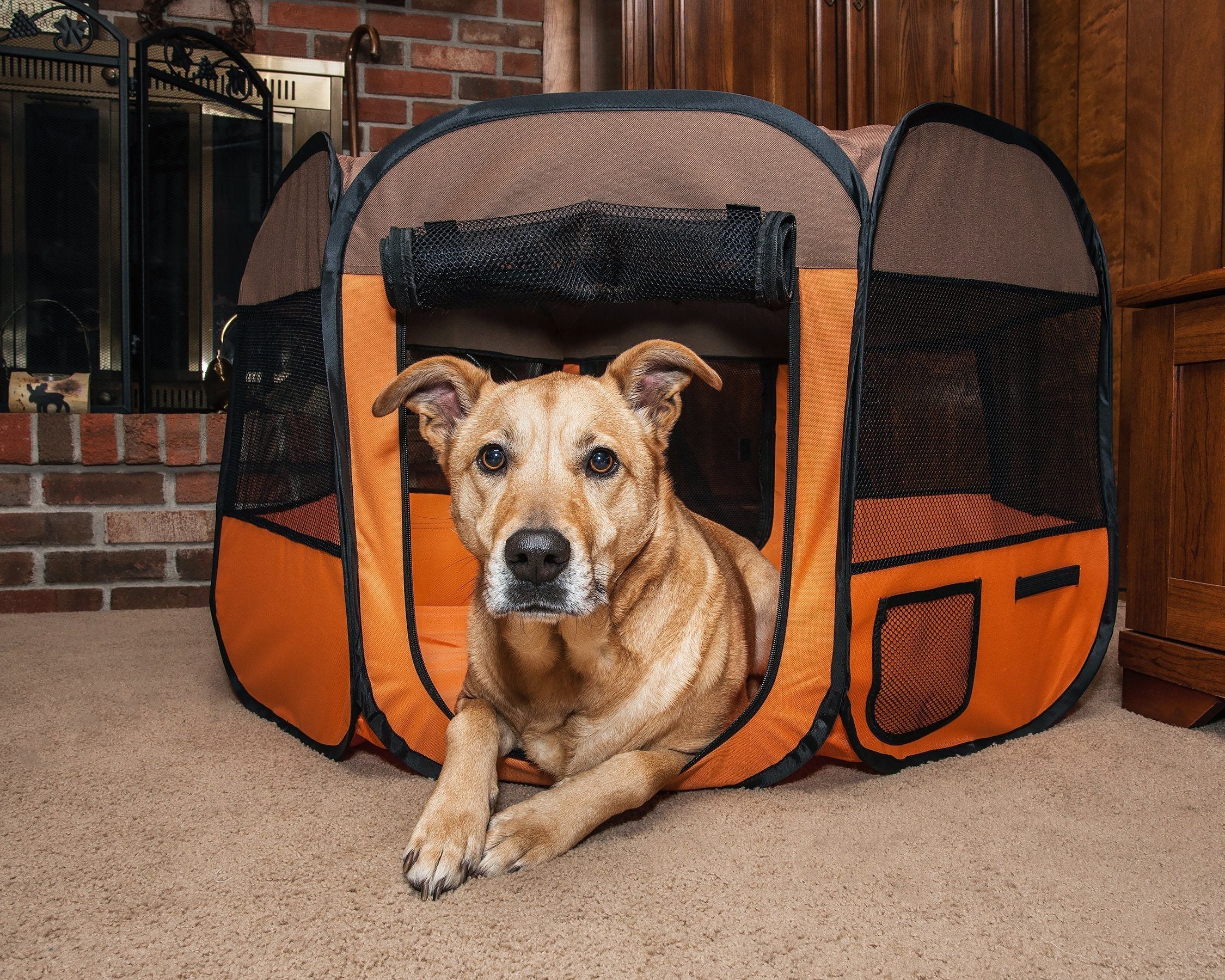 Folding Wire-Framed Collapsible Dog Playpen