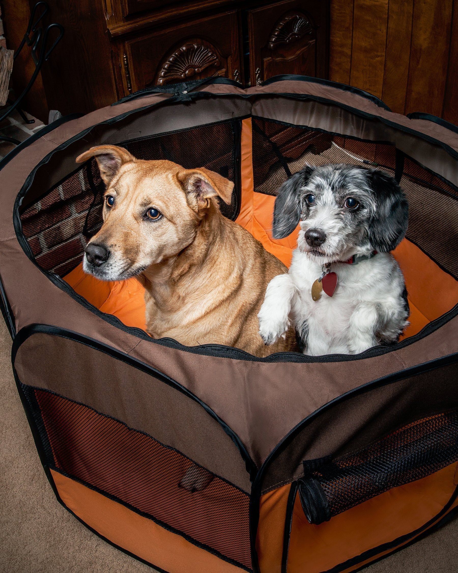 Folding Wire-Framed Collapsible Dog Playpen